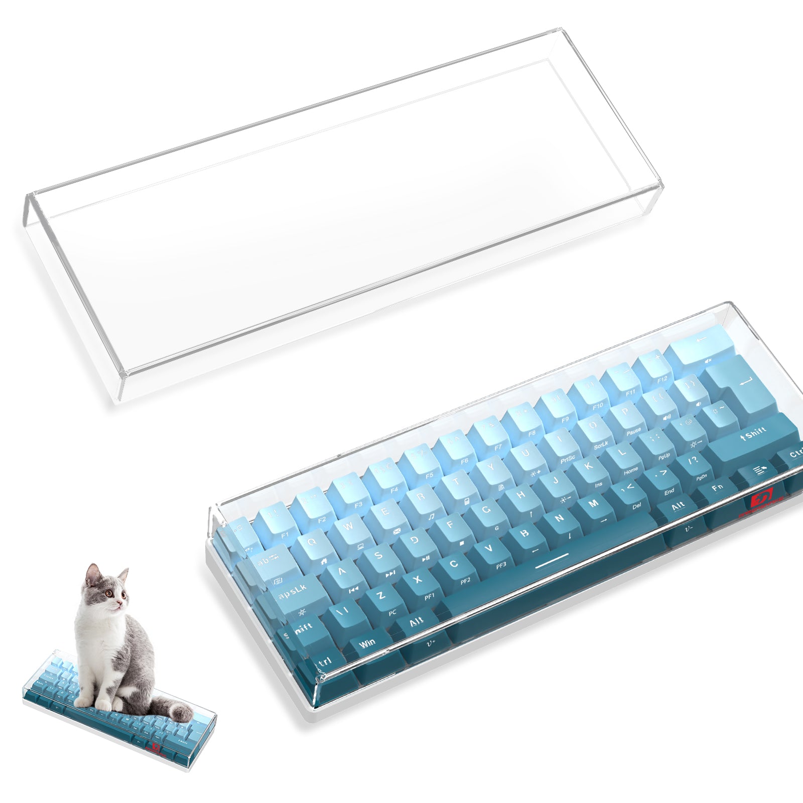 Transparent blue gradient keyboard cover for 68-key keyboard with cat.
